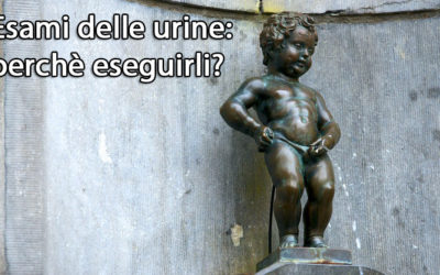 Quali sono le principali funzioni dell’esame delle urine?