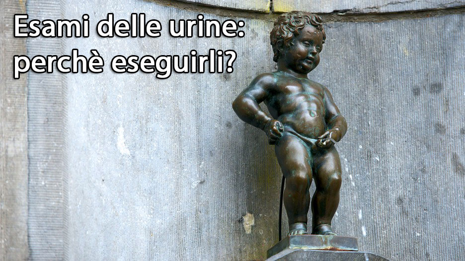 Quali sono le principali funzioni dell’esame delle urine?