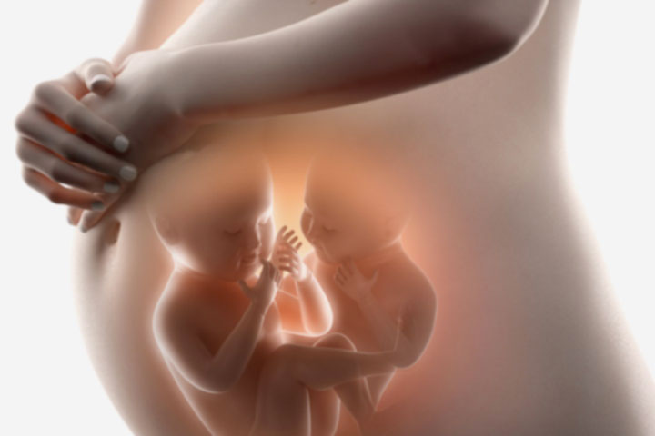 gravidanza gemellare reggio emilia