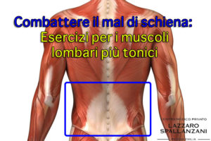 muscoli lombari più tonici
