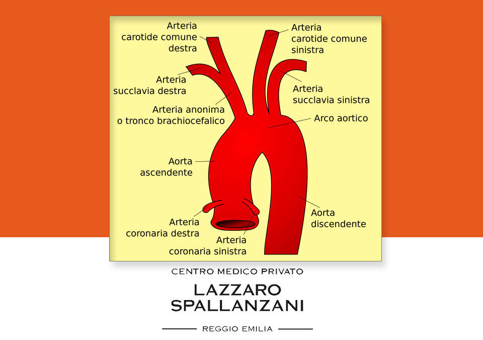 Farmaci a base di statine contro la placca ateromasica