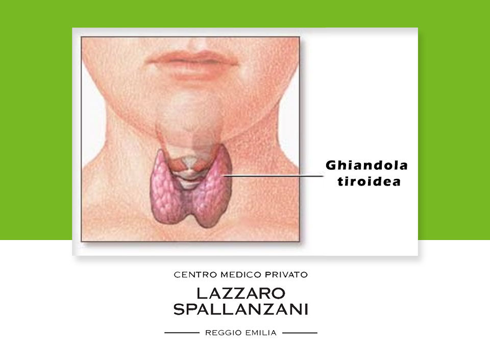 Perché eseguire un’ ecografia tiroidea