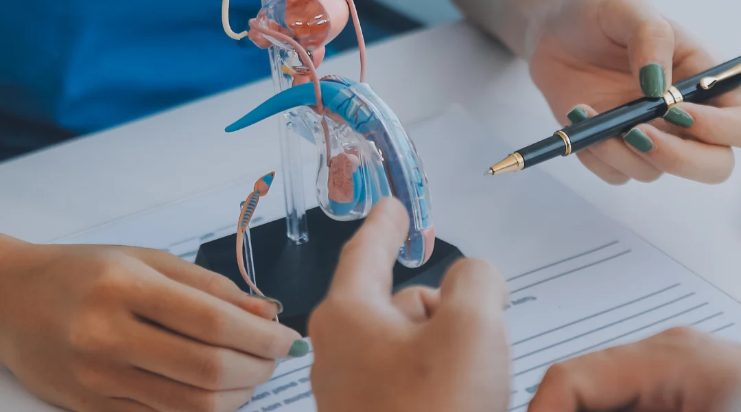 Vescica iperattiva: sintomi, cause e terapie